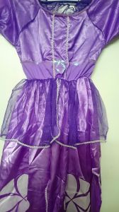 Kids Costumes to Hire - Sofia dress